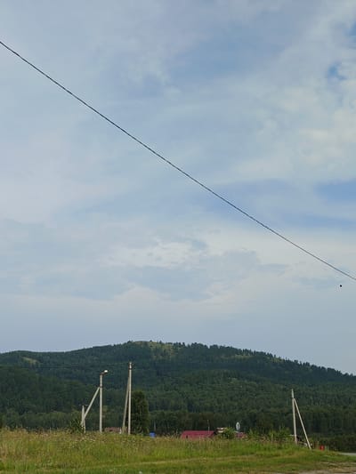 The image depicts a rural landscape with a dominant, heavily wooded hill in the background. The hill is covered in dense green trees and has a slightly undulating contour. In the foreground, a grassy field is visible with scattered wildflowers. Several utility poles are present, supporting electrical wires that stretch across the frame. One pole, located on the left, has a visible lamp fixture. Further to the left, another pole is angled. On the right, a single utility pole stands prominently. In the middle ground, behind the utility poles and the field, there are some structures with red roofs and a glimpse of what appears to be a road. The sky is partly cloudy, with a mix of white clouds and lighter blue patches. The scene is outdoors and appears to be during daylight hours.