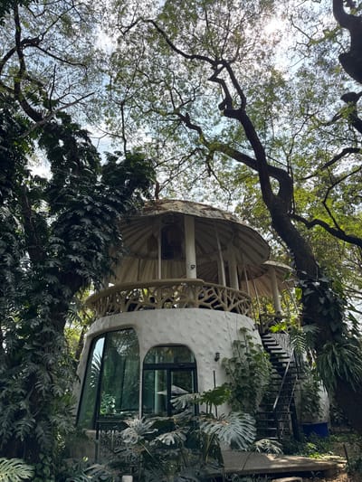 A whimsical, white, multi-story dwelling is nestled within lush greenery and towering trees. The structure boasts rounded windows, textured walls, and a spiral staircase leading to the upper levels. Tree branches extend over the house, partially obscuring it, while large-leafed plants surround the base. Sunlight filters through the foliage, creating dappled shadows. The overall scene is enchanting and unique, blurring the lines between architecture and nature.