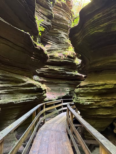 The image shows a wooden boardwalk winding through a narrow canyon with steep, layered rock walls. The rocks are dark brown and gray, with patches of green moss and lichen growing on them. Sunlight filters down from the top of the canyon, illuminating parts of the scene and creating shadows. Green vegetation, including ferns and small trees, grows from crevices in the rock walls. The boardwalk has wooden planks and railings, and appears to be a path designed for visitors to explore the canyon. The scene is natural and appears to be in an outdoor park or recreational area. The location is identified as the Town of Dell Prairie, United States of America, suggesting a natural geological formation.
