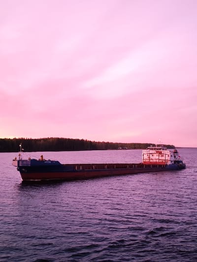 The image depicts a long cargo ship sailing on a body of water, likely a river or lake. The ship is dark in color with a red horizontal stripe along its hull and a white superstructure at its rear. The ship's name, "Okskiy -71", is visible on the bow. A line of trees is discernible along the distant shoreline. The sky is a prominent feature, filled with pink hues characteristic of sunset or sunrise. The water reflects the pink tones of the sky, creating a monochromatic color scheme dominated by pink and purple. The location is consistent with the landscape of Vasil'evskoe, Russia.