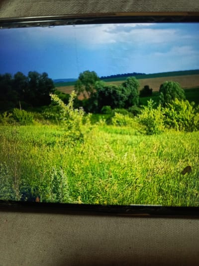 The image shows a landscape with a field of green grass and trees in the background. The sky is blue with some clouds. There is a narrow path going through the grass towards the trees. The image is slightly blurry and appears to be taken with a phone camera, as indicated by the reflections and the texture of the screen. There is no indication of the city of Svoboda, Russia, in the image.