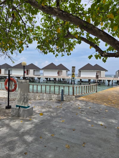 The image shows a tropical scene in Huraa, Maldives. Several overwater bungalows with gray gabled roofs are aligned along a turquoise lagoon. A concrete walkway and a wooden boardwalk run parallel to the bungalows. A tree with green and yellow leaves is on the left side of the image. A life preserver and a sign that reads "WATER BUNGALOWS" are near the walkway. Leaves are scattered on the concrete.