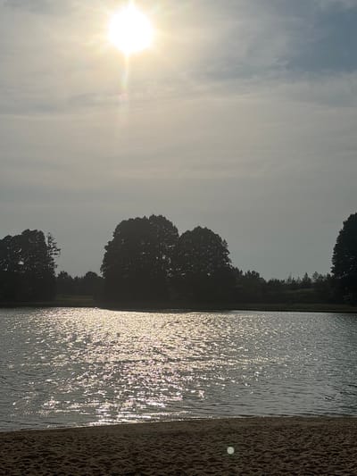 The image depicts a serene outdoor scene in Kałuszyn, Poland, likely during a late afternoon or early evening. The sun is low in the sky, casting a bright, warm glow that reflects off the rippling surface of a body of water, possibly a lake or a wide river. The water occupies the majority of the frame, its surface shimmering with countless highlights.

To the right of the water, a sandy or earthy bank is visible, textured and dark. Silhouetted against the hazy sky and the bright sun are the dark forms of trees, their foliage dense and reaching towards the water's edge. The trees create a natural, slightly wild boundary for the scene. The sky itself is a pale, washed-out blue with streaks of lighter clouds, suggesting a soft, diffused light. There is no visible text in the image. The overall mood is peaceful and tranquil, evoking a sense of natural beauty and quiet contemplation.