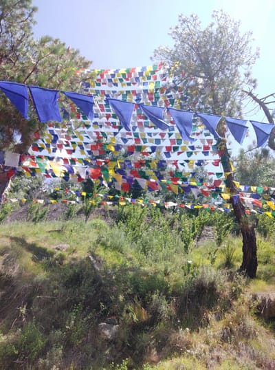This media file depicts a serene outdoor scene adorned with numerous prayer flags. The flags are primarily in blue, white, red, yellow, and green, strung together in long streamers. Some of these streamers are draped over the branches of a large coniferous tree, while others cascade down, creating a vibrant visual tapestry against the clear blue sky.
In the background, a lush green hillside is visible, covered in dense vegetation and trees. A rough-hewn stone wall or structure can be seen on the left side of the hillside. The overall setting suggests a natural, possibly mountainous environment, consistent with the location context of Baragran, India, known for its hilly terrain and Buddhist influences where prayer flags are commonly seen.
The image appears to be taken during the daytime, indicated by the bright sunlight and the clear, cloudless sky. The sunlight illuminates the flags and foliage, casting subtle shadows. The atmosphere conveyed is peaceful and spiritual, typical of locations where prayer flags are used for blessings and good fortune.
There are no visible people or specific activities or events taking place, making the focus solely on the prayer flags, the tree, and the natural landscape. The image is composed in a vertical orientation, with the prayer flags and tree dominating the right side, and the hillside occupying the left. No discernible text is present in the image.