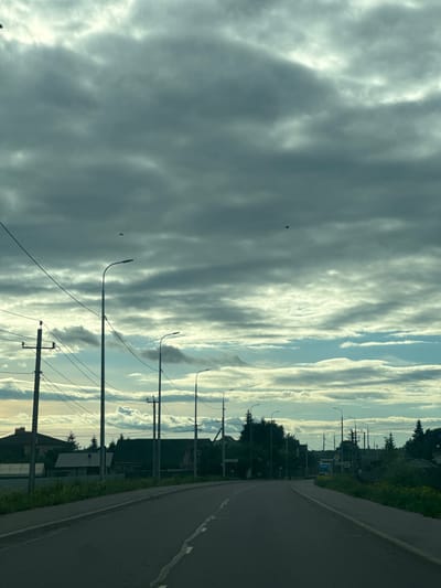 The image shows a rural roadside scene in Raikuzi, Russia, as captured from a moving vehicle. The perspective is from inside a car looking out the side window, with the camera tilted to capture the full scene.
The main subjects are a road and the sky. The road is asphalt, with a white line marking the edge and intermittent white dashes indicating lanes. To the right of the road, a grassy verge is visible, dotted with wildflowers. Beyond the verge, a line of trees forms a dense green backdrop, interspersed with houses and other buildings. Several utility poles with visible wires and streetlights line the roadside, suggesting a populated area. One street sign is visible, featuring a yellow diamond shape with black markings.
The sky is a dominant feature, filled with dramatic clouds. On the left side, dark, heavy clouds obscure the sky, creating a somber atmosphere. These gradually transition to lighter, wispy clouds and patches of blue sky towards the right. The contrast suggests a dynamic weather system. The lighting indicates it is likely late afternoon or early evening, with the sun perhaps setting or behind clouds, casting long shadows and highlighting the edges of the clouds.
There are no people visible in the frame. The only other notable elements are two small, dark shapes in the sky that could be birds.
The overall mood is somewhat dramatic due to the contrasting clouds and the sense of a journey along a quiet, tree-lined road. The scene conveys a sense of rural life and the beauty of natural elements interacting with human infrastructure.