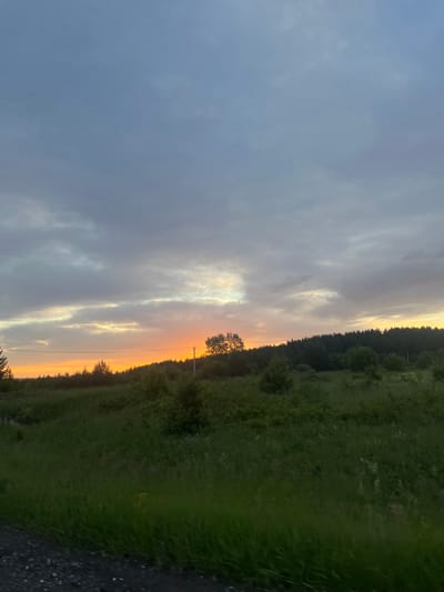 The image depicts a scenic view of a rural landscape at dusk, possibly in or near Dokshitsy, Russia. The composition is oriented vertically. The left side of the image is dominated by a cloudy sky with dramatic lighting from the setting sun. Hues of orange and yellow peek through the grey clouds, creating a warm glow along the horizon. A thin band of trees lines the right side of the frame, forming a dark silhouette against the brightly lit sky. Beyond the trees, a grassy field extends into the foreground, its lush green tones contrasting with the sky's colors. A narrow dirt road or path is visible on the far right edge of the image, adding a touch of human presence to the natural scene. A lone tree stands prominently in the middle ground, its branches reaching towards the sky. There is a subtle indication of a utility pole with wires running horizontally across the scene. The overall impression is one of peaceful solitude and natural beauty at the end of the day.