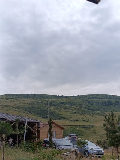 A panoramic view captures the natural landscape of Kegeti, Kyrgyzstan, under an overcast sky. The foreground is dominated by dry, tall grass and a cluster of low-lying shrubs and flowers, with two pine trees framing the right side. A rustic wooden building with a sloped metal roof, featuring exposed beams and string lights, stands to the left. Adjacent to it is a smaller, wooden cabin-style structure with a red-tiled roof. Several cars are parked in front of these buildings, including a silver minivan, a grey sedan, and an orange SUV with a roof rack.

The midground consists of a gently sloping, grassy hill dotted with scattered green bushes and trees, bisected by power lines supported by tall utility poles. The background features rolling hills covered in lush green vegetation, with more power lines and poles visible along the ridges. The overall scene suggests a rural or semi-rural setting, likely a guesthouse or a residential area nestled amidst the natural beauty of the region.
