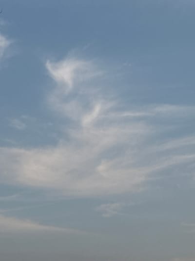 The image shows a pale blue sky with scattered white wispy clouds. There is no discernible human presence, structures, or distinct geographical features visible in the image, making it impossible to determine a specific location within Ansan, South Korea. The scene is purely a natural skyscape.