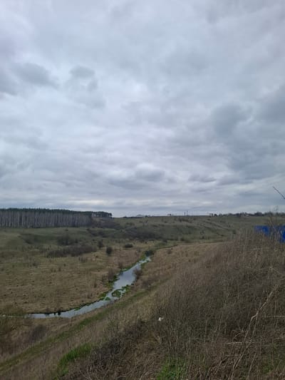 The original image, displayed in a vertical orientation, depicts a horizontal rural landscape under a predominantly overcast sky. The sky is filled with various shades of grey clouds, suggesting a dull, possibly cold day without direct sunlight.

The foreground and midground feature expanses of dried, brownish grass and sparse vegetation, characteristic of late winter or early spring in a temperate climate. A narrow, winding stream or small river meanders through the right side of the frame, its surface reflecting the cloudy sky. Small patches of greener vegetation are visible along its banks.

To the immediate right, a dense thicket of bare, leafless deciduous trees and bushes forms a prominent boundary. A small white object, possibly a piece of litter or a small bird, is visible on the bank amidst this vegetation. On the distant left, a distinct line of tall, slender trees creates a dark silhouette against the landscape. Faint power lines are discernible against the sky above this distant treeline. The scene is located near Yablonovo, Russia.

No people or animals are clearly visible, and there is no discernible text. The overall color palette is muted, dominated by greys, browns, and subdued greens, contributing to a tranquil, somewhat somber atmosphere.