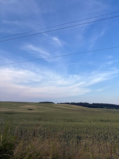 This media file depicts an outdoor scene in Ozyaritska-Slabadski rural council, Belarus. The composition is split, with the left side dominated by a bright blue sky and thin, wispy white clouds. Three dark, thin power lines run diagonally across the sky, originating from the bottom left and extending upwards.
The right side of the image features a vast, green field of crops, likely wheat, stretching towards a dark line of trees in the distance. The field appears to be either ripening or in its growth phase, with variations in color suggesting different stages or patterns within the expanse. The foreground on the right is filled with dry, tall grasses and some small plants, adding a textured border to the cultivated field.
The image is oriented vertically, meaning the top of the scene is to the right and the bottom is to the left. This orientation suggests the photo was taken while standing or moving sideways. The lighting indicates it is daytime, likely late afternoon or early evening given the soft light and the clear but not overly harsh blue of the sky. There are no people or specific activities visible, creating a serene and natural landscape impression. The overall mood is peaceful and expansive. There is no visible text in the image.