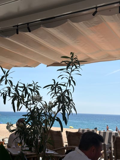 This image depicts a beachside restaurant in Platja D'aro, Spain. In the foreground, a man with dark hair is seated, wearing a white shirt. He is looking downwards. Behind him, a table holds a glass with a light-colored liquid. A leafy plant with white flowers is situated in front of the table, obscuring part of the man's view of the beach. The background reveals a sandy beach with people scattered across it. The Mediterranean Sea stretches out to the horizon under a clear blue sky. Above, a beige retractable awning is extended, supported by a metal track with spotlights.