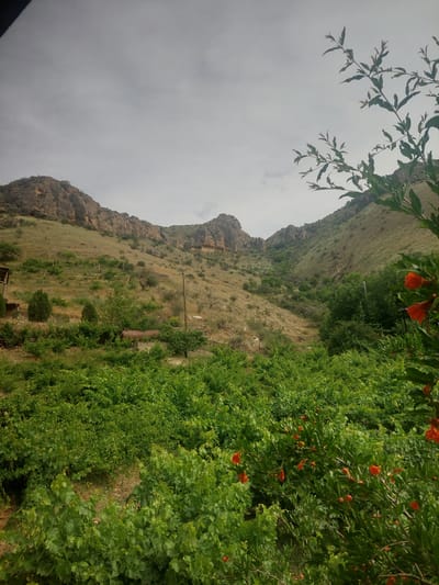 The image depicts a rural landscape in Areni, Armenia, characterized by rolling hills, sparse vegetation, and a cloudy sky. In the foreground, lush green grapevines fill the lower portion of the frame, with some branches of a pomegranate tree featuring bright orange flowers visible on the right side. The middle ground shows a gradual incline of a grassy hillside dotted with scattered trees and some man-made structures, including what appears to be a large metal tank. Wooden posts and fencing are visible on the hillside, suggesting it may be used for agriculture or animal containment. The background features imposing, rugged mountain formations with distinct rock faces and textured slopes, typical of the Armenian highlands. The overall impression is one of a serene, natural environment, likely on the outskirts of the village of Areni, known for its vineyards and historical sites.