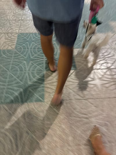 The image shows a person walking on a tiled floor, likely outdoors given the lighting and the presence of a shadow. The person is wearing blue shorts and a grey t-shirt. They are holding a leash, and a small dog is visible, partially obscured and blurred by motion. The dog appears to be white or light-colored and is wearing a collar or harness.
Another person's foot, wearing a sandal, is visible in the upper right corner of the frame, suggesting a shared space or a moment of passing. The tiled floor has a patterned design, with alternating light and darker blue tiles arranged in a geometric pattern. The lighting suggests it could be daytime, possibly late afternoon or early evening due to the elongated shadows. The overall impression is a candid, candid snapshot of a moment in time, capturing movement and everyday life. The motion blur indicates the photo was taken with a relatively slow shutter speed while the subjects were in motion. There is no visible text in the image. The location is Calp, Spain.