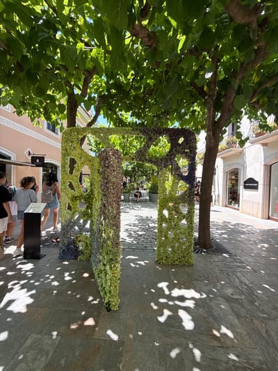 This media file captures an outdoor scene, likely on a sunny day, in what appears to be a pedestrian street or plaza in La Roca del Vallès, Spain. The primary subjects include a large, decorative structure made of flowers, resembling an archway or an abstract sculpture. This floral installation is lush and vibrant, transitioning in color from green at the top to purples and blues at the bottom. It is intertwined with a mature tree whose branches and green leaves partially obscure the view of the surrounding buildings and sky. The ground is paved with cobblestones and large stone slabs, with dappled sunlight casting shadows from the tree's foliage, indicating it's likely midday or afternoon.

Several people are visible in the scene, some walking by, others appearing to pause and observe the floral display. Their attire suggests warm weather. In the background, shops are visible, one with a sign that reads "TOMMY HILFIGER." Another sign below the floral structure reads "INSPIRA." The overall mood is one of a pleasant, possibly festive, outdoor environment, showcasing an artistic installation as part of a public space. The bright sunlight and shadows contribute to a lively and cheerful atmosphere.