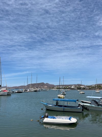 The image shows a harbor with several boats docked. The harbor is located in La Paz, Mexico, at the coordinates 24.156 latitude and -110.323 longitude. The sky is blue with white, wispy clouds. The water is calm and a light blue-green color. The boats are mostly white with blue trim. One boat is a bright yellow.  Some of the boats have sails and are docked at a small pier while others are smaller motorboats anchored in the water. There are several buildings visible in the distance.