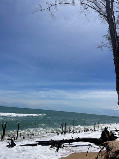 This forensic image captures a coastal scene in Ban Tha Chat Chai, Thailand, under a bright, partly cloudy sky. The upper half of the frame is dominated by a clear blue sky, traversed by thin, horizontal streaks of white cirrus-like clouds. Below the sky, the teal-green expanse of the ocean extends across the mid-ground, exhibiting rolling waves with visible white foam breaking both in the mid-distance and closer to the shore.
The lower portion of the image reveals a sandy beach covered by white sea foam from the breaking waves. Numerous dark, weathered wooden stakes or posts are embedded vertically in the wet sand and shallow water along the immediate shoreline, forming an irregular linear pattern. A large, dark tree trunk, possibly driftwood, lies horizontally on the sandy bank in the foreground, partially submerged in the white foam; its extensive root system is exposed on the right side. A section of a large tree trunk, likely a casuarina or similar coastal tree, borders the right edge of the frame, extending vertically upwards out of view, with several bare branches reaching into the upper right quadrant of the sky. Another bare branch extends from the upper left corner. No human figures or discernible man-made structures beyond the wooden stakes are present in the scene.