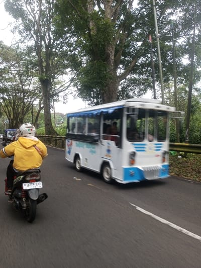 A forensic examination of the image reveals a dynamic road scene, purportedly in the city of Sat Thay (East), Myanmar, under an overcast sky. In the immediate foreground, a person operating a dark-colored scooter is captured from a rear-quarter perspective. The driver wears a yellow jacket and a white helmet adorned with colored decals. The scooter displays a license plate with the alphanumeric sequence "D 12776 ZAO" above "02 78". The vehicle features a visible rear wheel, fender, and an upward-angled exhaust pipe.
To the right of the motorcycle, a white, open-sided bus-like vehicle, possibly a tourist shuttle, is in motion. It features blue trim, a blue canopy over the passenger compartment, and a distinctive blue front bumper and grille design. Multiple indistinct passengers are visible within its windows, blurred due to the vehicle's movement.
Both vehicles are on a dark asphalt road. A single broken white line is visible on the road surface towards the right side of the frame. The road is bordered by dense, mature trees with substantial green foliage, creating a tunnel-like effect. A yellow metal guardrail is partially visible along the right edge of the road, behind the bus. Several utility poles or similar structures rise vertically amidst the trees on the right side. The overall environment suggests a natural, tree-lined thoroughfare with active vehicular traffic.