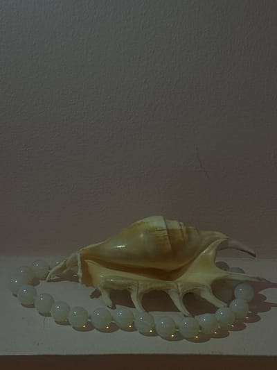 A large, ornate seashell rests on a textured surface, appearing to be a shelf or ledge, with a strand of luminous, pale beads encircling its base. The shell is a pale, creamy beige with delicate, finger-like projections extending from its lower edge. The beads are spherical and translucent, giving off a soft, internal glow. The background is a plain, textured wall, softly lit, with subtle variations in shade suggesting unevenness. The overall impression is one of quiet stillness and natural beauty, the juxtaposition of the organic shell and the manufactured beads creating an intriguing aesthetic. The scene is located in Lobacheve, Ukraine.