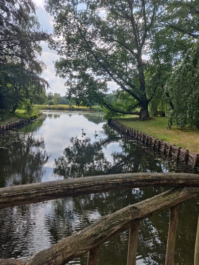 The image depicts a tranquil park scene with a reflective body of water, likely a pond or a slow-moving stream, in the foreground. Two swans are visible swimming on the water, creating gentle ripples. The water's edge is lined with a rustic woven fence made of natural materials, possibly willow branches, which adds a natural and charming element to the setting. Beyond the water, a grassy bank is dotted with trees, including a large, mature tree with sprawling branches. A wooden bench is visible under the canopy of the weeping willow, suggesting a place for rest and contemplation. The background shows a further expanse of trees and a hint of yellow flowers, indicating a meadow or a cultivated garden area. The overall atmosphere is peaceful and natural, characteristic of a park or a nature reserve. This scene is likely located within the city of Isselburg, Germany, known for its green spaces and natural beauty.