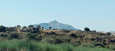 This is a wide, horizontal, eye-level shot of a rocky, arid landscape under a clear, pale blue sky. In the middle ground, a mountain range is visible, with the central peak appearing sharp and distinct. The foreground is dominated by dense, dry grasses, while the mid-ground features rolling hills covered in low-lying green and brown scrub, interspersed with large rocks and scattered trees. The overall impression is one of a natural, undeveloped, and somewhat rugged terrain, consistent with the rural outskirts of Trujillo, Spain, known for its historical architecture and surrounding countryside.