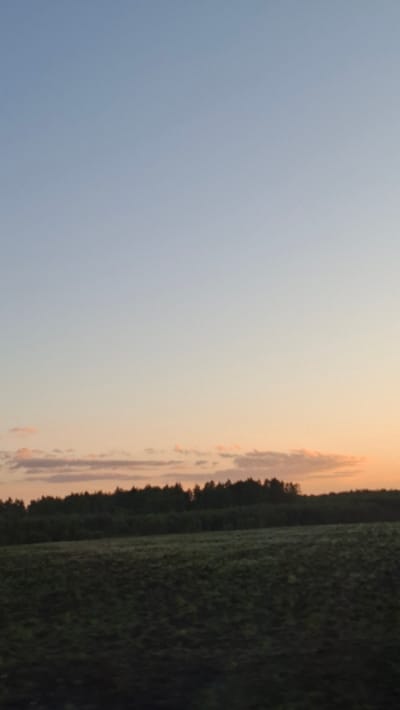The image shows a landscape at dusk or dawn. A field or area of dense vegetation occupies the right side of the image. A line of trees separates the field from the sky. The sky transitions from a light blue on the left to a peach/orange color near the horizon. There are a few thin, light clouds near the horizon.
The location is Любанскі сельскі Савет, Belarus.