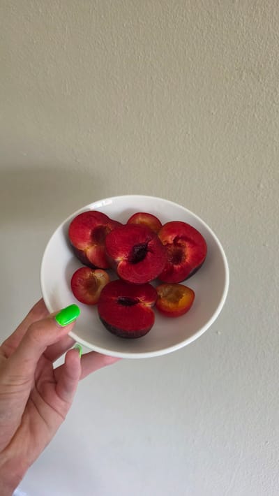 A person's hand with bright green nail polish is holding a white bowl containing several halved plums. The plums are a deep red color with a dark pit visible in some of them. The background is a textured, neutral-colored wall. The image appears to be taken indoors. There is no information about the location in the city of Columbia, United States of America.