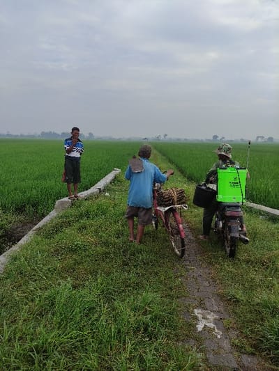 This image captures a rural agricultural scene in Wonoayu, Indonesia, under an overcast sky. Three men are present amidst vast, lush green rice fields. A narrow, muddy path runs through the fields, bordered by a concrete or stone ledge on one side.
On the far right, a man wearing a hat is seen next to a small motorized vehicle. This vehicle has a bright green tank mounted on its rear, which appears to be a sprayer used for agricultural purposes. Faint white text, possibly including "MAX", "36", and "2.4", is visible on the tank.
In the center of the image, another man, dressed in a blue shirt and dark shorts, stands next to a red bicycle. The bicycle's rear rack is heavily loaded with several bundles of what looks like wood or harvested crops, indicating transportation activities.
To the left, a younger man in a striped shirt and dark shorts stands on the concrete ledge, looking directly towards the camera.
The scene depicts daily life and agricultural work in a verdant, farming environment, with the overcast conditions providing diffused light. The subjects are engaged in farming-related tasks or are present within this rural setting.