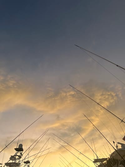 The image shows a view of the sky from a boat at the Marina Pez Vela in Playa Herradura, Costa Rica (coordinates: 9.651, -84.665). There are numerous fishing rods extending upwards against a background of a cloudy, golden sunset. The rods are silhouetted against the sky. A portion of a white boat is visible in the lower right of the frame. The sky is predominantly a pale yellow, with clouds in the distance.