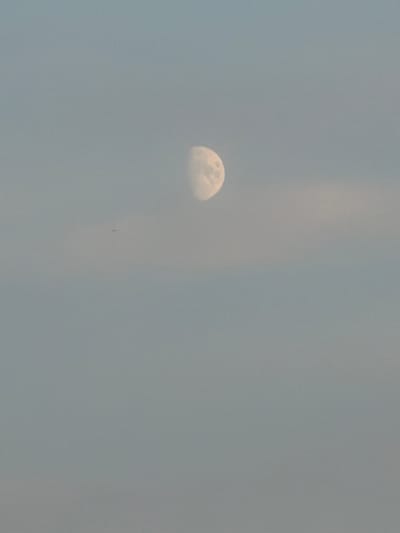 The image depicts a hazy sky with a crescent moon visible in the upper right quadrant. A small, dark object, potentially an airplane or bird, is located in the upper left quadrant. The environment appears overcast or smoggy, obscuring any distinct ground features. No specific details about Kuseevo, Russia, are evident in the photograph.