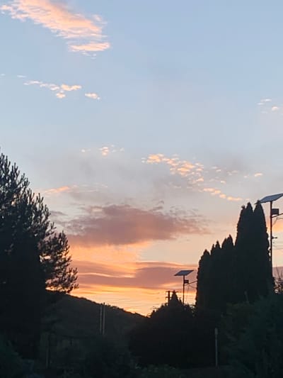 The image shows a sunset sky with wispy pink and orange clouds over a silhouetted landscape. In the foreground, dark green trees line the lower edge of the frame. On the right side of the image, a tall, slender tree stands next to a lamppost with a solar panel. In the distance, a hill is also silhouetted against the sunset. The sky is a gradient of light blue at the top, transitioning to soft pink and orange near the horizon. The overall impression is a peaceful, natural scene at dusk. The location is specified as Сонячне, Ukraine.