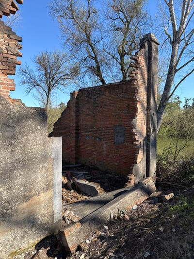 The image depicts the substantial ruins of a former industrial building, specifically the Old Paper Mill of Tomar (Antiga Fábrica de Papel) located along the Nabão River in Tomar, Portugal.

The scene is dominated by a fragmented, reddish-brown brick wall standing prominently in the mid-ground. This wall exhibits significant decay, with an irregular top edge, missing bricks, and exposed mortar. A thick, grey concrete or stucco-covered support pillar or chimney-like structure is integrated into the right side of this brick wall, extending upwards. To the left, a thick, textured grey concrete wall section occupies the immediate foreground, its top also uneven. The ground within the ruined structure is covered with a substantial amount of debris, including broken bricks, concrete fragments, and remnants of wooden planks.

In the background, a body of water, identifiable as the Nabão River, is visible on the right, bordered by dense green foliage. Several deciduous trees with bare branches stand against a clear, bright blue sky, some appearing to grow close to or within the ruins. One large tree trunk is situated directly behind the right side of the brick wall and pillar. Harsh sunlight casts strong shadows across the ground and parts of the structural remnants. No people or animals are present. The overall environment suggests an abandoned industrial site reclaimed by nature.