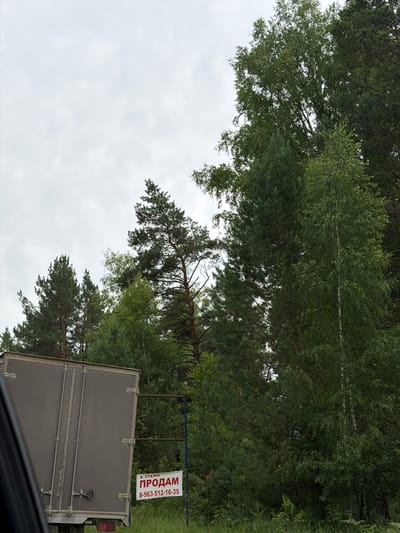 The image depicts a cloudy day with lush green trees dominating the foreground and middle ground. On the left side of the frame, the rear of a large, gray trailer truck is visible. Attached to the trailer is a white banner with red text that reads "ПРОДАМ" (For Sale) in large letters, and below it, a phone number "8-963-512-16-35". The banner is supported by two metal poles. The background consists of a dense forest. The scene is likely a roadside setting in the city of Ust'-Sema, Russia.
