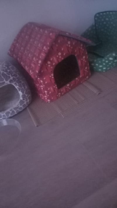 The image shows a close-up, angled view of several cardboard hamster hideouts arranged on a plain floor. In the foreground, a red hideout with a white floral pattern is visible. It has an opening on top and appears to be shaped like a house. To the left and slightly behind the red hideout is a green hideout also with a white polka-dot pattern, partially obscured by the red one. Below the red hideout, a portion of another hideout with a grey and white giraffe-like pattern is visible, suggesting it's a different design. Behind the red hideout, a piece of corrugated cardboard lies on the floor. The background is a plain, softly lit floor, possibly made of wood or laminate. The lighting is diffuse, and there are no indications of time of day, weather, or specific location cues beyond what can be inferred about the items themselves. The overall impression is one of a collection of pet accessories. There is no visible text in the image.