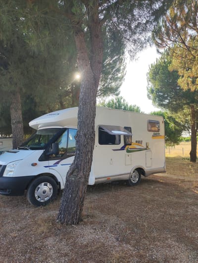 The image depicts a white motorhome parked on a dirt and gravel lot amidst a pine forest. The motorhome is a Ford Transit model, evidenced by the "TRANSIT" badging. It features a peaked roof extension, multiple windows, and a side door. Decorative decals in purple, yellow, and green are present on the side of the vehicle, along with a "FLASH 04" designation. The sun is visible through the pine branches, casting rays of light across the scene. The environment appears dry and rustic, with sparse vegetation and fallen pine needles on the ground. The location is identified as being in Sobradillo, Spain. There are no people visible in the image.