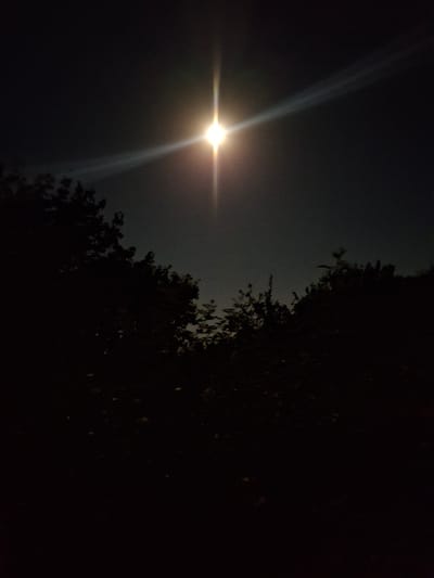 A nighttime photograph depicts a clear sky with a bright, luminous celestial body, likely the moon, positioned centrally in the upper portion of the frame. The light from this body creates a distinct lens flare, extending horizontally across the sky. Silhouetted against the sky are the dark forms of trees and foliage along the bottom edge of the image, suggesting an outdoor setting. The lower portion of the image is dominated by deep shadows, rendering the ground and any objects within it indistinct. The scene has been captured in Ko`kdala, Uzbekistan.