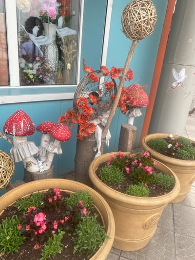 The image depicts an outdoor scene, possibly in front of a shop, featuring a decorative arrangement. A light blue wall forms the backdrop, with a large window to the left displaying various artificial flowers and decorative items, including a mannequin bust. In the foreground, three large tan planters are filled with green foliage and pink flowers. To the right of the planters, a grey metallic structure is visible with a decal of a white dove.
The central focus of the arrangement includes several artificial red and white spotted mushrooms, made to resemble amanita muscaria, mounted on birch logs. They are decorated with small fabric skirts. Behind these, a large bouquet of artificial orange poppies is displayed, attached to a rustic wooden pole topped with a woven sphere. Another smaller mushroom decoration is visible further to the right. The ground is paved with square tiles. The overall presentation suggests a whimsical, possibly garden-themed, outdoor display. There are no visible people in the image, nor any specific indicators of the city of Achinsk, Russia.