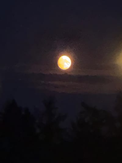 A bright orange moon is visible in the dark night sky, partially obscured by wispy clouds. Silhouetted trees form a dark border along the bottom of the image, suggesting a natural or park-like setting. There are no people or buildings visible.