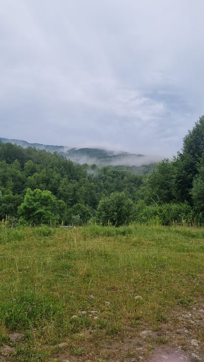 The image depicts a natural landscape of rolling hills covered in lush green trees. Wisps of fog or mist weave through the valleys and over the tops of the trees, creating a serene and somewhat mystical atmosphere. The sky is overcast with soft, diffused light. In the foreground, there is a meadow with tall, wild grasses and some scattered stones. The overall impression is one of a peaceful, rural setting in a forested region. The location is identified as Vyshka, Ukraine. There are no people or animals visible in the image.