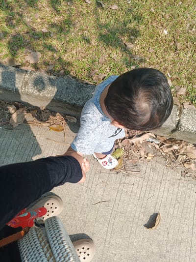 In an outdoor urban environment, a person's hand, wearing a dark long-sleeved garment, is holding the hand of a young child. The child, dressed in a light blue shirt and white slip-on shoes with cartoon characters, is facing away from the camera and looking down. The child's dark hair is visible. They are standing on a concrete pathway, adjacent to a strip of dry grass and leaves, bordered by a concrete curb. The scene suggests a moment of connection and guidance in a public outdoor space, likely a park or sidewalk area in Cibungbulang, Indonesia, given the context. The lighting indicates it is daytime, casting shadows on the pathway.