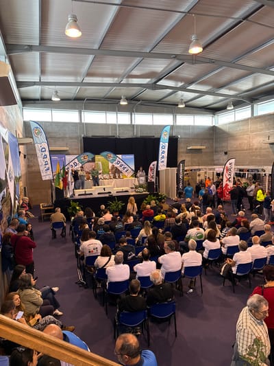 This image captures an indoor awards ceremony or presentation in a large hall located in Mora, Portugal. The venue features an industrial-style ceiling with exposed metal beams, corrugated panels, and multiple suspended high-bay lights, supplemented by natural light entering through a band of upper-level windows. A raised stage dominates the central-left background, covered in dark fabric. Three white podiums, numbered "2," "1," and "3," indicating a winners' platform, are positioned at the front of the stage. Behind them, a black fabric backdrop is adorned with several banners, including a Portuguese flag, and horizontal banners displaying "MORA," "GRUTAS," "CABEÇÃO," "MALARRABIA," and "AZOGA" alongside a logo featuring a cyclist. Two tall, blue-and-white "F.b.b.D." vertical banners flank the stage. On the stage, several individuals are visible; two men stand near the "1" podium, one appearing to present or receive a trophy, while another individual addresses the audience from a separate podium on the far right. Potted plants decorate the front right of the stage, and multiple trophies are visible behind the podiums. A large audience, dressed in casual attire, occupies numerous rows of dark blue chairs, facing the stage. Additional attendees are present in the foreground from an elevated viewpoint, some seated on steps behind a wooden railing. To the right of the main seating area, an open space contains more standing individuals and vertical banners promoting brands such as "ZOGA" and "KALI KUNNAN," indicating a gathering or exhibition area.
