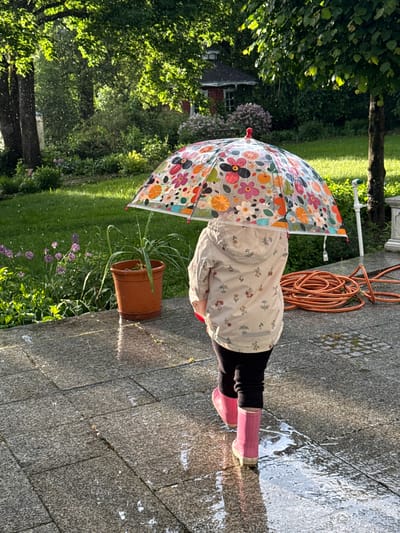 A young child stands on a stone-paved surface, wearing a patterned jacket, black pants, and pink rain boots. They hold a colorful, floral-patterned umbrella above them. A terracotta pot containing a plant is positioned near the child. A coiled orange hose rests on the pavement. The scene is outdoors, with a green lawn, trees, and flowering plants visible in the background. Pools of water reflect the sunlight on the pavement, suggesting it has recently rained. The image appears to be taken in a residential area. The location of Sapronovo, Russia, is not explicitly confirmed from visual elements alone, but assumed.