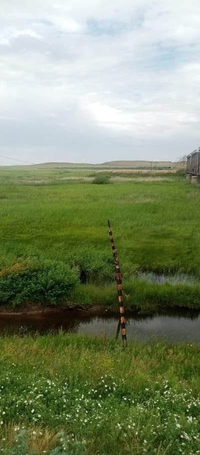 The image depicts a rural landscape with rolling hills under a cloudy sky. In the foreground, there is a narrow body of water, likely a ditch or small stream, with dark, reflective water. Along the edge of the water, on the right side of the frame, stands a weathered wooden pole with alternating dark and reddish-brown bands, leaning slightly into the water. The surrounding terrain is covered in lush green grass, with a cluster of dense green bushes to the left of the water. In the middle ground, the grassy expanse continues, leading towards distant, gently sloping hills. A train track and a railway bridge are visible on the far right, with a train or a series of train cars on the tracks in the distance. The overall scene suggests an open, natural environment, possibly in the vicinity of Marinovka, Kazakhstan, given the landscape's characteristics. There are no people visible in the image.