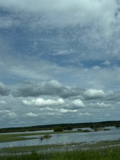 The image depicts a wide, flooded landscape under a cloudy sky. The foreground is dominated by tall green grass and reeds partially submerged in water, indicating a recent or ongoing flood. In the mid-ground, there are expanses of water with small islands of greenery and vegetation breaking the surface. The background features a dense line of dark green trees, forming a forest or woodland edge. The sky is filled with a mix of white and gray clouds, with patches of blue sky visible in the upper portions. The scene is natural and appears to be a rural or undeveloped area. The specific location of Ключи, Russia is not visually identifiable within the image itself; it is external information provided with the prompt.