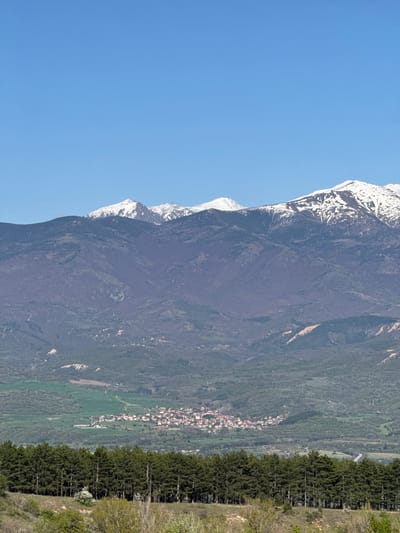 The image shows a mountain range with snow-capped peaks under a clear blue sky. At the foot of the mountain, a valley contains a village with tightly packed buildings. A dense forest lines the edge of the valley, providing a contrast to the open fields and mountain slopes. The village is situated near Tsarvishte, Bulgaria.