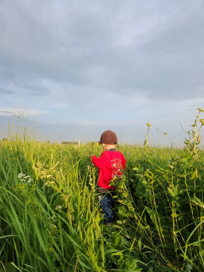 A young child wearing a red shirt with a graphic on the back and a brown baseball cap stands in a field of tall green grass and wildflowers under a cloudy sky. The child is facing away from the camera, seemingly examining the plants. The setting appears to be a rural or natural area, possibly a meadow or field, with the distant horizon visible through the vegetation. There are no discernible urban elements or indications of the city of Atameken, Kazakhstan in the image. The lighting suggests it is either early morning or late afternoon.