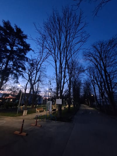 The image shows an outdoor park scene at dusk or dawn in Dolni Chiflik, Bulgaria. Silhouetted bare trees line the edge of a paved pathway. Visible on the pathway are pieces of playground equipment and benches. Buildings and streetlights can be seen in the background. The sky is a deep blue color.