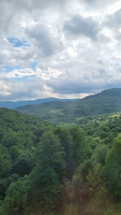 The image depicts a lush, rolling landscape dominated by dense green forests under a partially cloudy sky. In the foreground, the canopy of mature trees fills the bottom portion of the frame, showcasing a variety of textures and shades of green. Beyond this, the landscape recedes into successive layers of hills covered in trees, with the furthest hills appearing as soft, blue silhouettes against the sky. A narrow, lighter-colored path or clearing is visible winding through the mid-ground forest, and a small, indistinct structure, possibly a building or ruin, is situated on a distant slope. The sky is a mix of bright white clouds and patches of blue, with some darker, more ominous clouds present, suggesting a dynamic weather pattern. The overall impression is one of a remote, natural environment, characteristic of the Carpathian Mountains region where Volosianka, Ukraine, is located. No people or specific actions are depicted in the image.