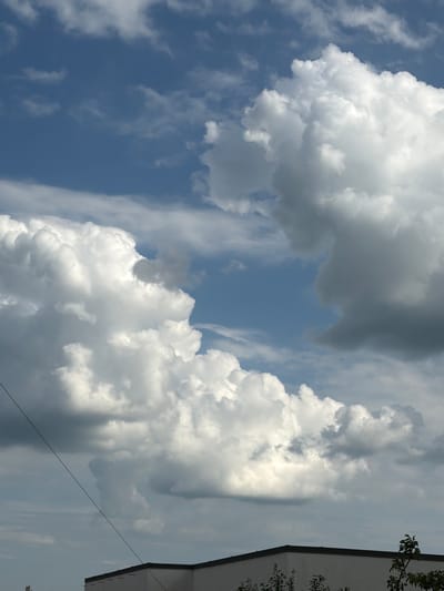 The image is an outdoor shot of a sky filled with dramatic clouds, taken from a low angle looking upwards. The scene is dominated by fluffy, white cumulus clouds on the left and center, with darker, more ominous clouds on the right. A patch of bright blue sky is visible in the upper center, with several small dark specks that could be birds or distant aircraft. The light suggests it is daytime, likely midday or afternoon, given the brightness and the contrast between the clouds.
In the upper right corner, the edge of a modern building with a dark roofline is visible. There are also some branches of a leafy tree extending into the frame from the top right. A thin wire stretches diagonally across the right side of the image, suggesting the presence of infrastructure.
The overall mood is somewhat dramatic due to the contrasting cloud formations. The setting appears to be an urban or suburban environment in Stryi, Ukraine, given the building and the presence of a wire. There is no text visible in the image.