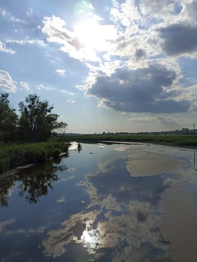 A vertical, eye-level shot captures a sun-drenched landscape with a reflective body of water in the foreground. The sky is a vibrant blue, dotted with fluffy white and dark gray clouds, with the sun shining brightly through a break in the clouds, creating a lens flare.
The water, reflecting the sky and surrounding trees, occupies the bottom half of the image. On the left bank, lush green reeds and grasses grow, with several trees, some laden with mistletoe, silhouetted against the sky. The water's edge on the right is a sandy bank with patches of light-colored debris.
Beyond the water, a narrow strip of green reeds stretches towards a distant treeline, a hazy outline of buildings, and a few scattered trees. Electrical lines are visible stretching across the horizon.
The scene appears to be a natural wetland or river area. The presence of lush vegetation and calm water suggests a relatively peaceful environment, possibly a rural or semi-rural location. Given the detail provided, this specific scene is located within the Zoziv, Ukraine region.
