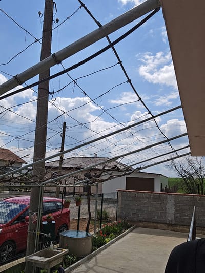 The image shows an outdoor scene in Stara Reka, Bulgaria. A metal trellis structure with wires spans across the frame, providing support for vines. Through the trellis, a blue sky with scattered white clouds is visible. A beige building overhangs the top left corner of the frame. To the right, there is a brick wall, a white building with a brown garage door, and a red car parked underneath. Along the edge of the concrete path, a flowerbed with red and white tulips is visible. The environment is outdoors, suggesting a residential or garden area.